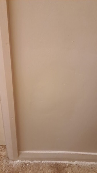 A plain painted interior wall corner above a skirting board